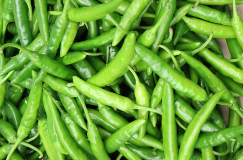 풋고추 첨부 이미지