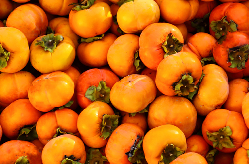 단감 첨부 이미지