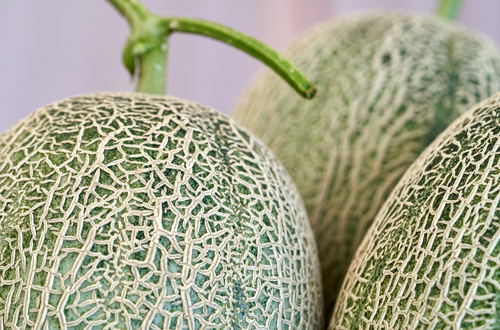 멜론 첨부 이미지