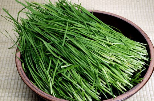 부추 첨부 이미지