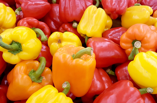 파프리카 첨부 이미지