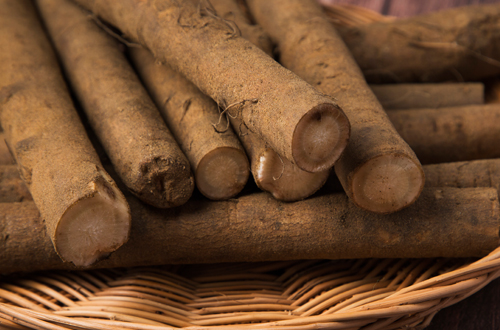 우엉 첨부 이미지