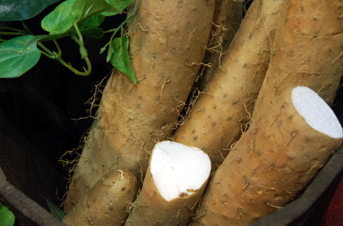 마 첨부 이미지